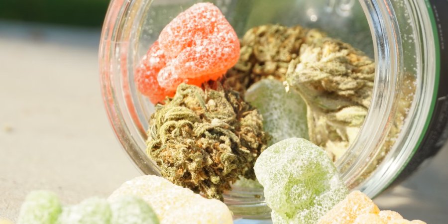 Understanding 500mg CBD Gummies and Their Effects